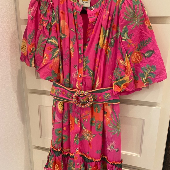 FARM Rio Fruit Garden Belted Mini Dress Size M - Picture 3 of 8